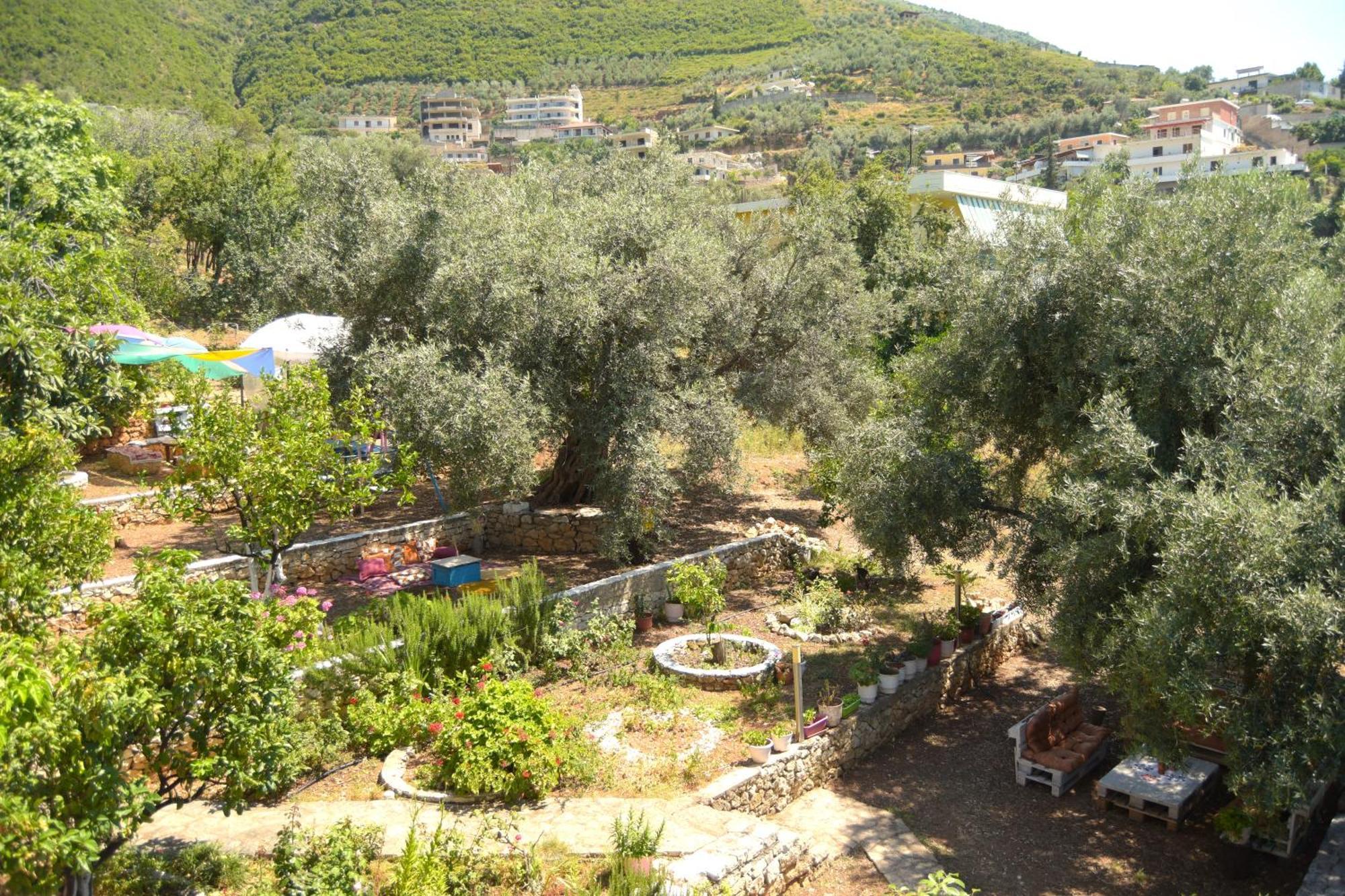 Vlorë Vila Toskaj 아파트 외부 사진